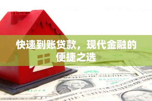 项城快速到账贷款，现代金融的便捷之选