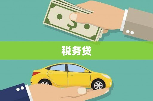 项城税务贷