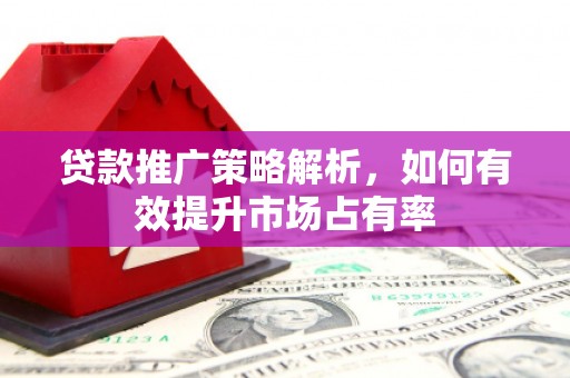 项城贷款推广策略解析，如何有效提升市场占有率
