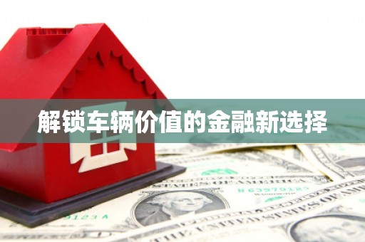项城解锁车辆价值的金融新选择