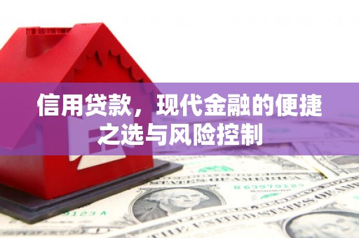 项城信用贷款，现代金融的便捷之选与风险控制