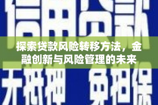 项城探索贷款风险转移方法，金融创新与风险管理的未来