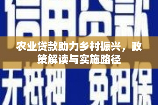 项城农业贷款助力乡村振兴，政策解读与实施路径