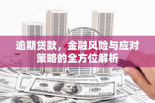 项城逾期贷款，金融风险与应对策略的全方位解析