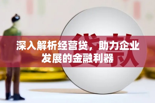 项城深入解析经营贷，助力企业发展的金融利器