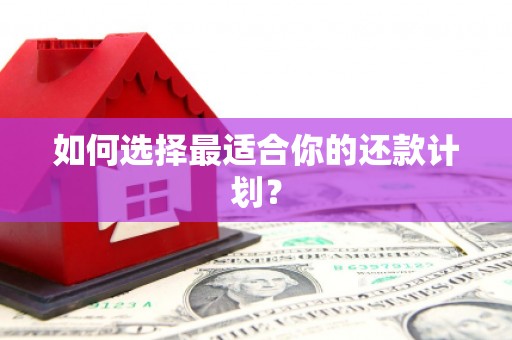 项城如何选择最适合你的还款计划？