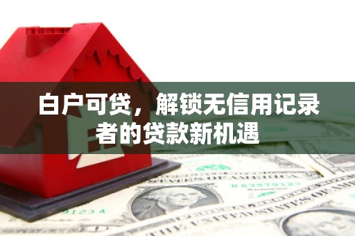 项城白户可贷，解锁无信用记录者的贷款新机遇