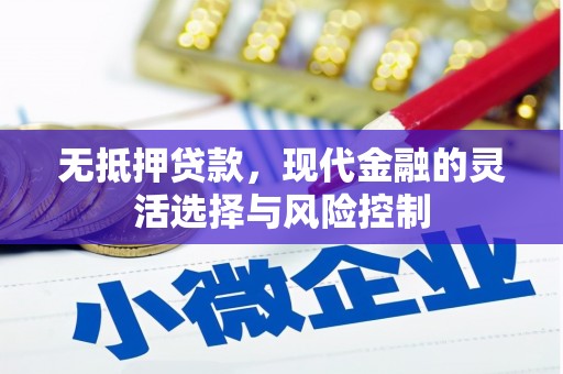 项城无抵押贷款，现代金融的灵活选择与风险控制