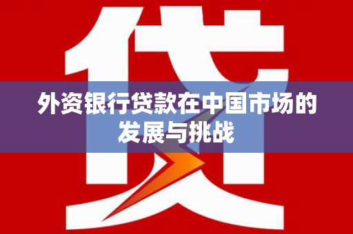 项城外资银行贷款在中国市场的发展与挑战