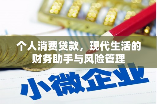 项城个人消费贷款，现代生活的财务助手与风险管理