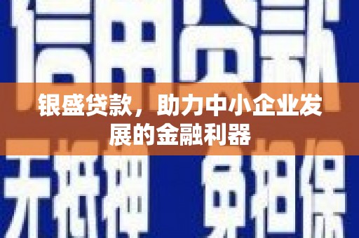 项城银盛贷款，助力中小企业发展的金融利器