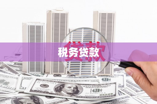 项城税务贷款