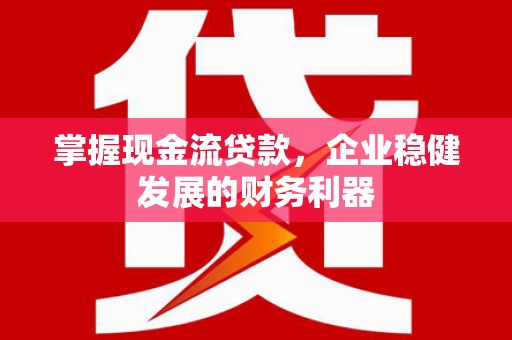 项城掌握现金流贷款，企业稳健发展的财务利器