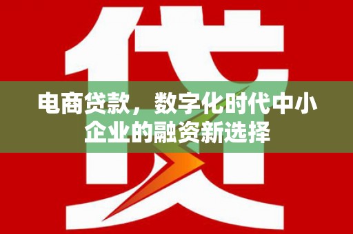 项城电商贷款，数字化时代中小企业的融资新选择