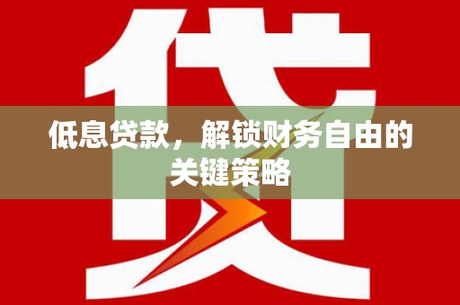 项城低息贷款，解锁财务自由的关键策略
