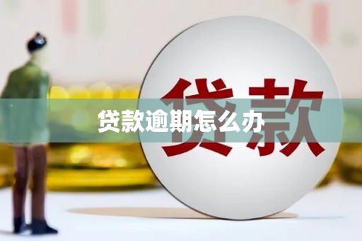 项城贷款逾期怎么办