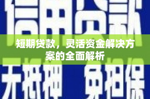 项城短期贷款，灵活资金解决方案的全面解析