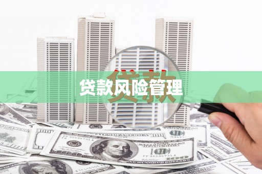 项城贷款风险管理
