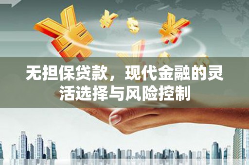 项城无担保贷款，现代金融的灵活选择与风险控制