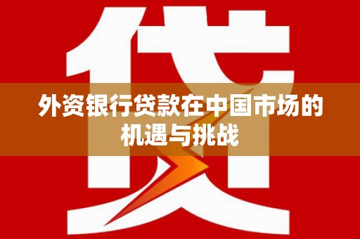项城外资银行贷款在中国市场的机遇与挑战
