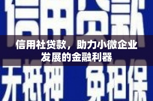 项城信用社贷款，助力小微企业发展的金融利器