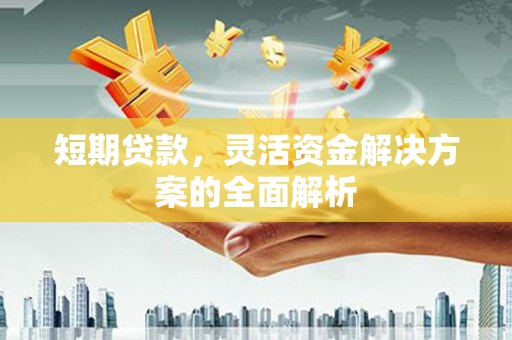 项城短期贷款，灵活资金解决方案的全面解析