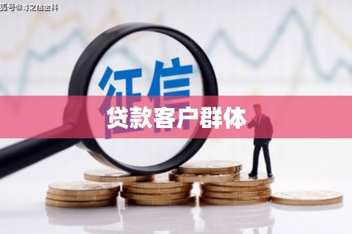 项城贷款客户群体