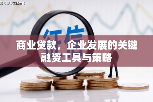 项城商业贷款，企业发展的关键融资工具与策略