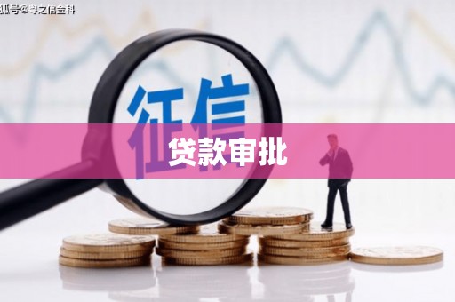 项城贷款审批
