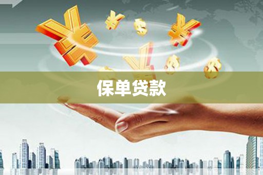 项城保单贷款