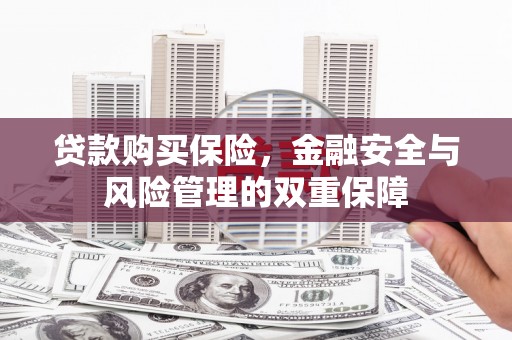 项城贷款购买保险，金融安全与风险管理的双重保障