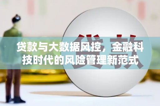 项城贷款与大数据风控，金融科技时代的风险管理新范式