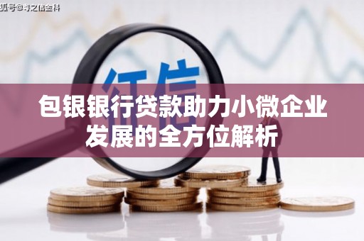 项城包银银行贷款助力小微企业发展的全方位解析