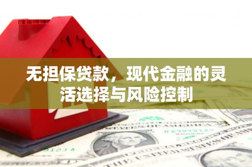 项城无担保贷款，现代金融的灵活选择与风险控制