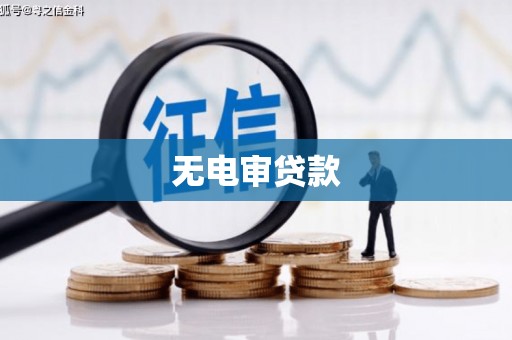 项城无电审贷款