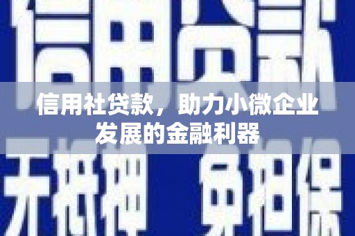 项城信用社贷款，助力小微企业发展的金融利器