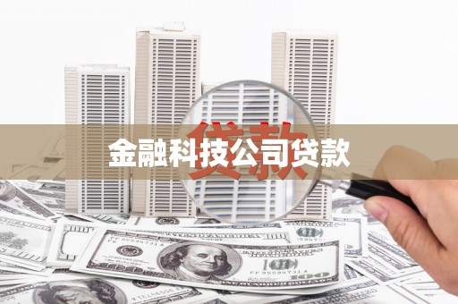 项城金融科技公司贷款