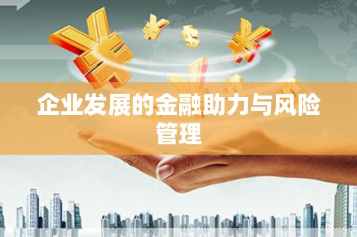 项城企业发展的金融助力与风险管理