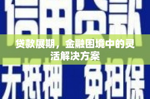 项城贷款展期，金融困境中的灵活解决方案