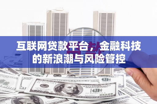 项城互联网贷款平台，金融科技的新浪潮与风险管控