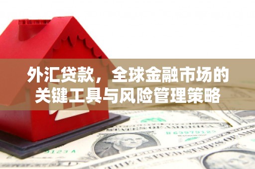 项城外汇贷款，全球金融市场的关键工具与风险管理策略
