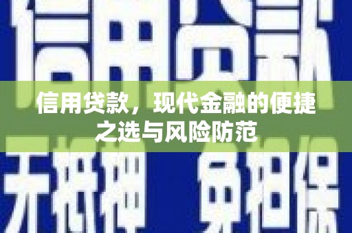 项城信用贷款，现代金融的便捷之选与风险防范