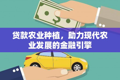 项城贷款农业种植，助力现代农业发展的金融引擎