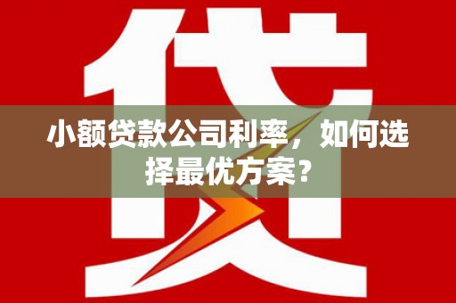 项城小额贷款公司利率，如何选择最优方案？