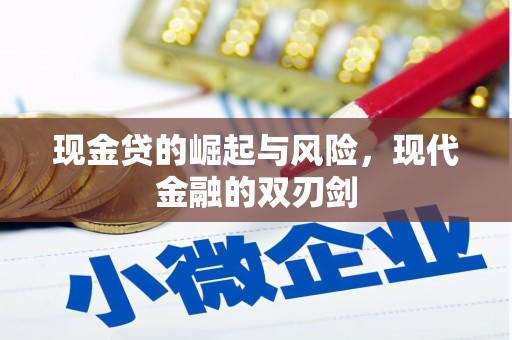 项城现金贷的崛起与风险，现代金融的双刃剑
