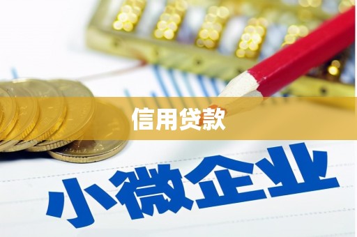 项城信用贷款