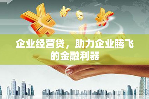 项城企业经营贷，助力企业腾飞的金融利器