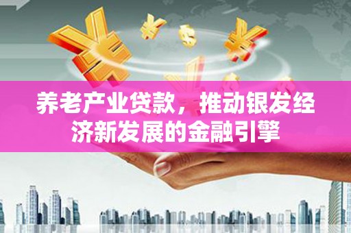 项城养老产业贷款，推动银发经济新发展的金融引擎
