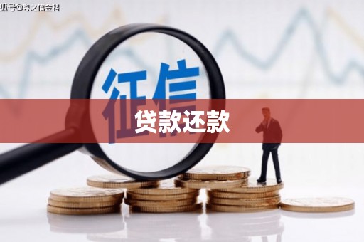 项城贷款还款
