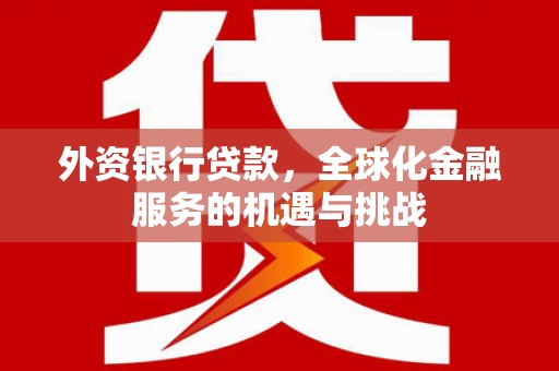 项城外资银行贷款，全球化金融服务的机遇与挑战